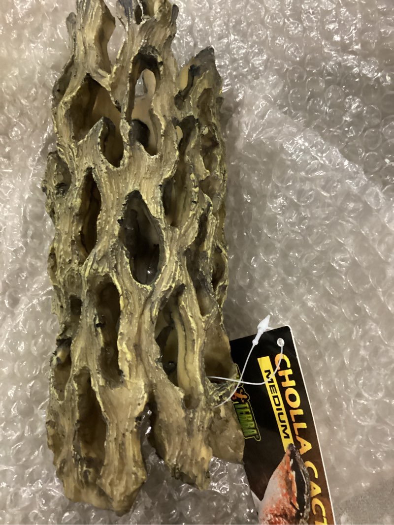 Condition photo showing Good Condition for Hagen Exo Terra Cholla Cactus Skeleton (Medium)