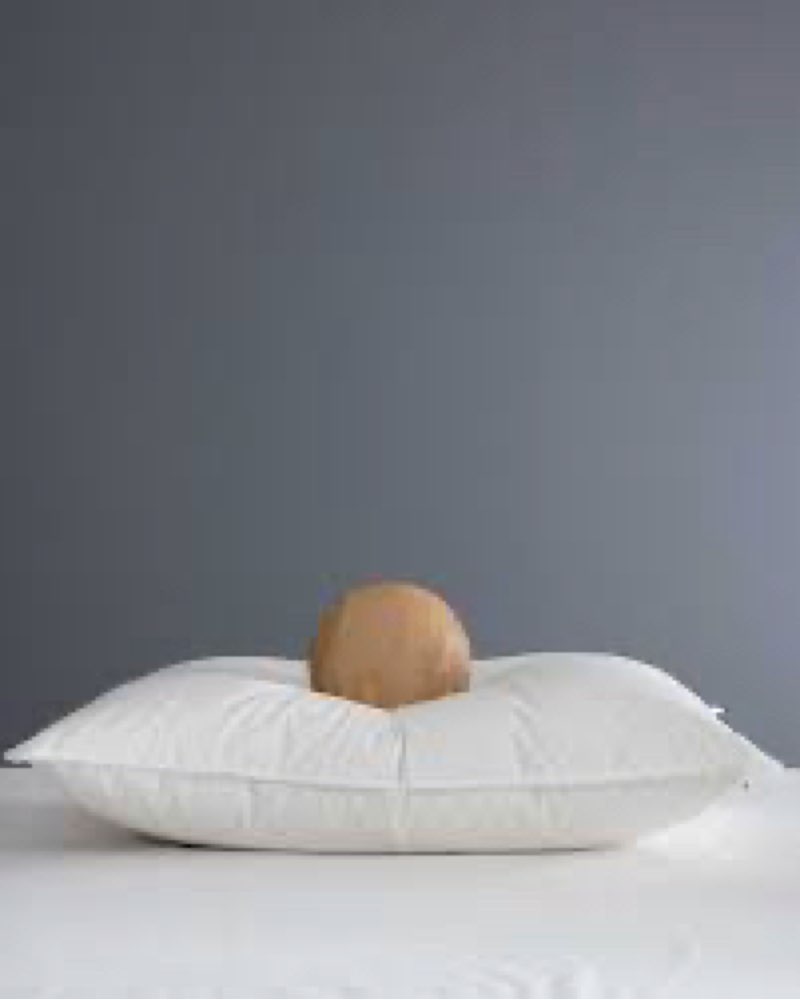 Quince Luxe Goose Down Pillow Standard Medium 300 Thread Count Cotton Sateen White 