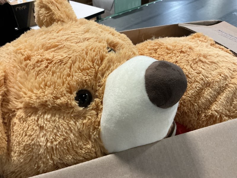Condition photo showing Good Condition for hollyhome 5ft giant teddy bear stuffed animal huge teddy bear plush with big footprints valentines gift 5 feet light brown brown 60 inch