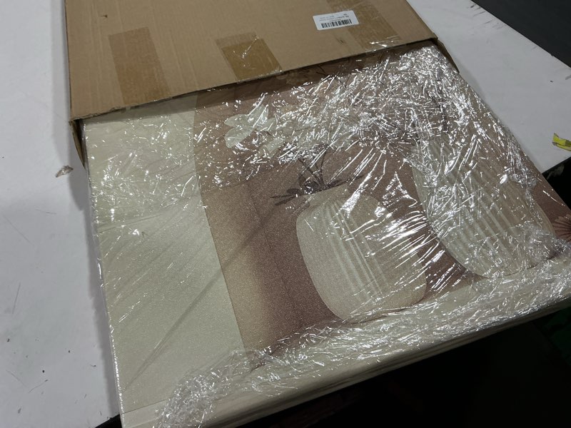 Condition photo showing Good Condition for 3pcs framed canvas wall art arched wabi sabi niche textured vases dried florals posters prints pictures paintings minimalist warm beige wall decor for bedroom living room bohemian decoration white beige 16x24 framed