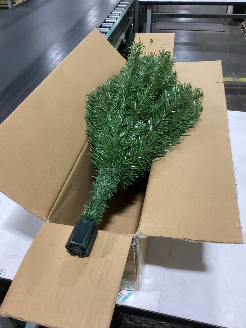 national company tree