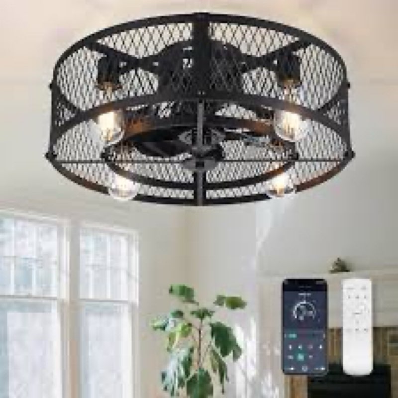 BvenuBigLite Caged Ceiling Fans with Light: 26 Inch Flush Mount Ceiling Fan with Light and Remote - 