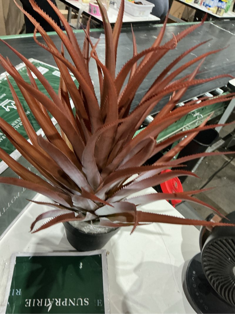 Condition photo showing Good Condition for sunprairie 26â€_x009d_ tall hyper-realistic big red artificial aloe vera plant - large faux agave in aesthetic matte black pot for home and office decor.