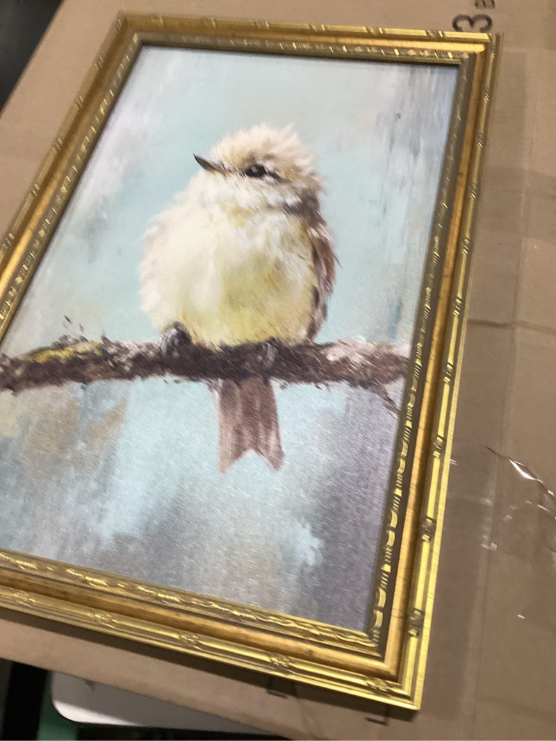 Condition photo showing New/Like New for (similar to) vintage gold framed bird canvas wall art,bird beige sparrow painting picture wall decor,sparrow on branch poster print artwork,for bedroom and bathroom home decoration,9x11in tree branch bird framed 11\"l x 9\"wm