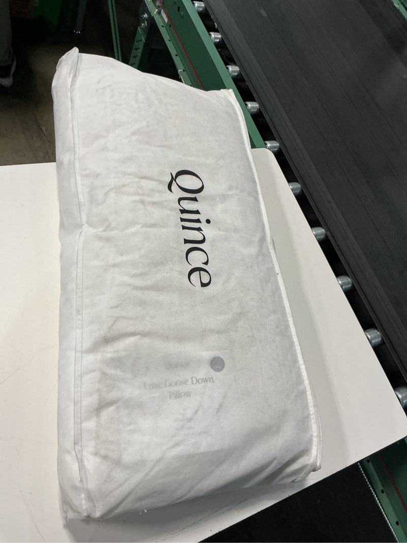 Condition photo showing Good Condition for luxe goose down pillow, king, medium/firm