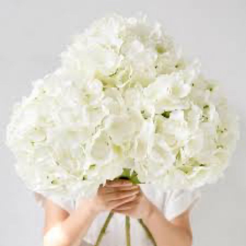 IPLNTS 3pcs 26 inch Huge Extra-Large Silk White Hydrangea Artificial Flowers, Faux Fake Hydrangea Fl