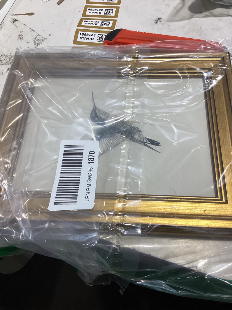 Condition photo showing As Is for viyyiea vintage gold framed wall art, sketch birds canvas painting, cute but exquisite wall decor, no glass no glare, suitable for bedside tables, foyer, bookshelves,?hummingbird?-10l x 8w ?hummingbird? 10"l x 8"w
