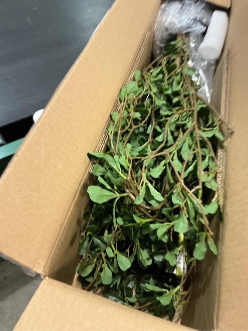 Condition photo showing Good Condition for Black Olive Tree 7ft - Faux Black Olive Tree with Natural Trunk and Realistic Leaves - Artificial Shady Lady Tree for Modern Home Office House Living Room Decor