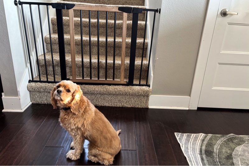 Assored indoor gates baby and pet 