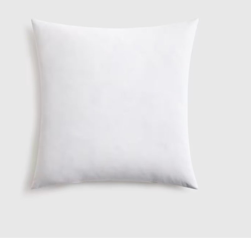 quince premium feather pillow insert 20x20