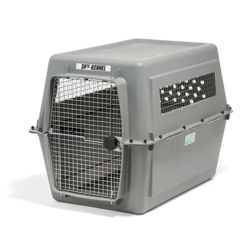 Petmate Sky Kennel for Dogs, IATA Approved, Plastic Travel Carrier, Gray, For Dogs 90-125 lbs, Jumbo Extra Extra Large, 48" x 32" x 48" 