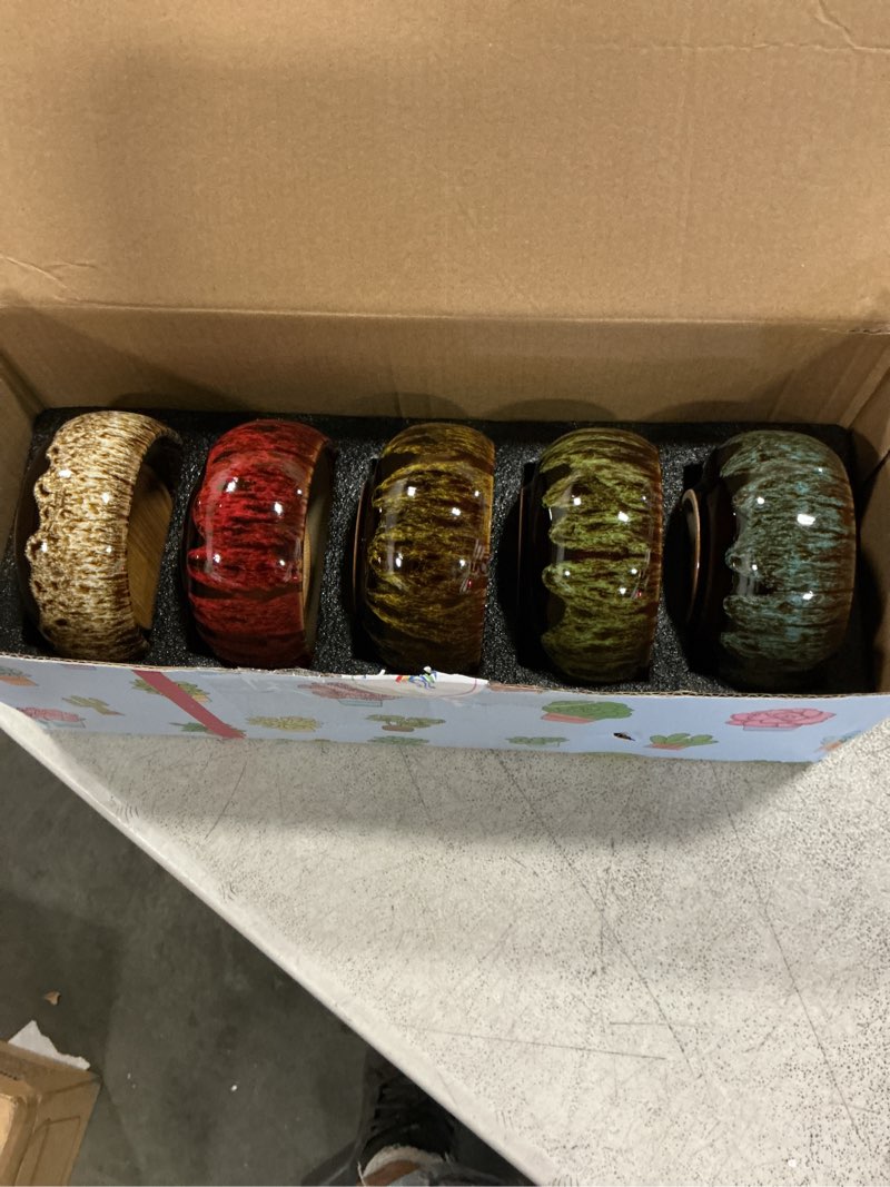 Condition photo showing New/Like New for cute ceramic succulent garden pots, planter with drainage and attached saucer, set of 5 -plants not included (round)