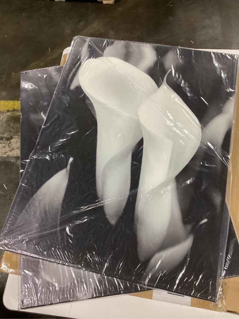 Condition photo showing Good Condition for Calla Lily Canvas Wall Art: Black and White Flower Artwork Modern Floral Wrapped Canvas Picture Prints Elegant Living Room Painting Photography Ready to Hang for Bedroom Bathroom Office 18"x24"x2PCS black&white