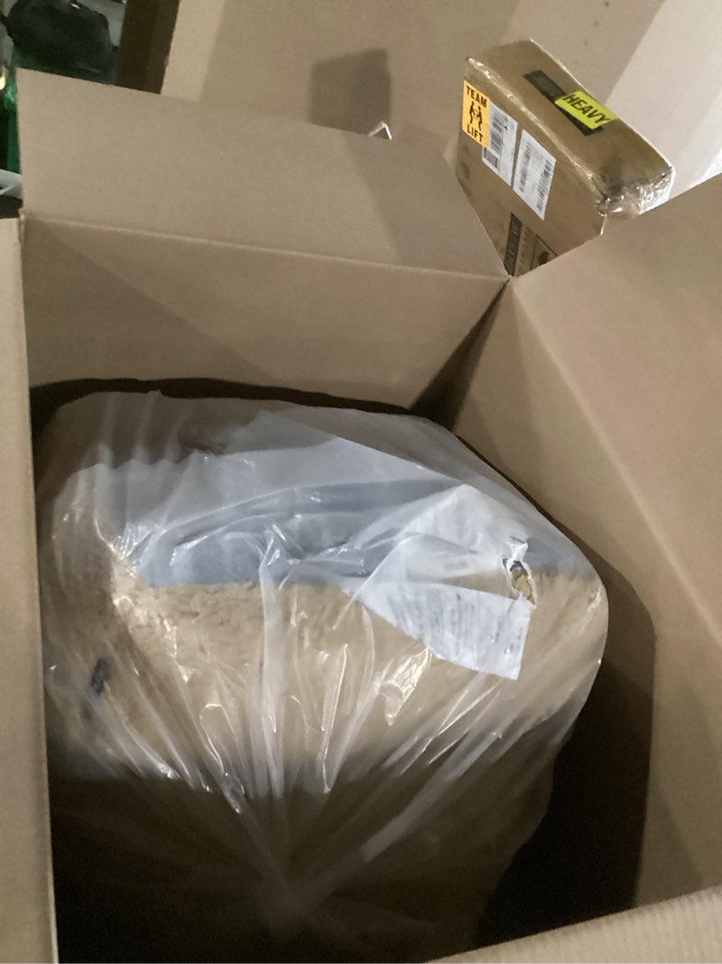 Condition photo showing Good Condition for delta children cozee buddy chair, dog