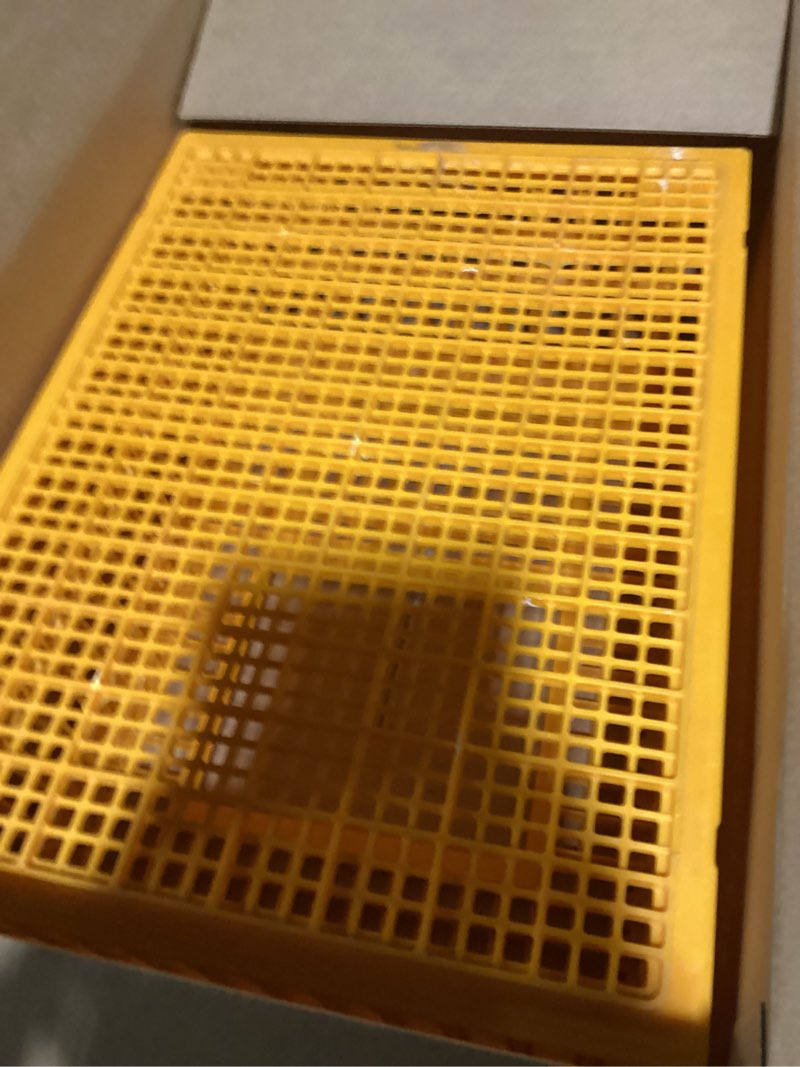 Condition photo showing As Is for lukar Poultry Carrier Crate Plastic Chicken Transport Cage Heavy Duty Chicken Crates Transport Box for 10-13 Adult Chickens Duck Goose Birds, 29.5 x 21.7 x 13 Inch