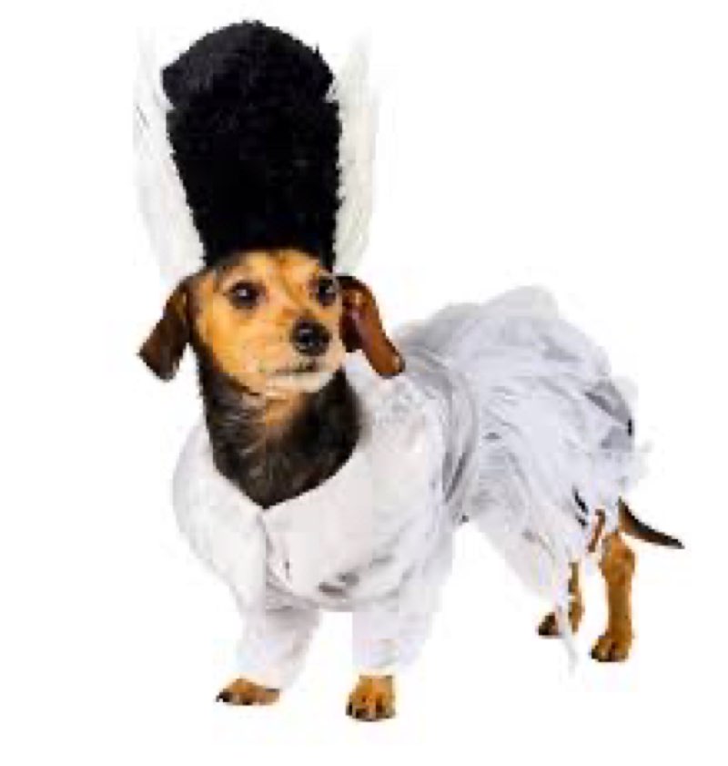 Universal Monsters: Bride Of Frankenstein Pet Costume for For Dogs or Cats by Rubies, Large