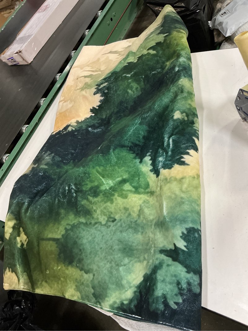 Condition photo showing As Is for misty forest rug, size unknown 