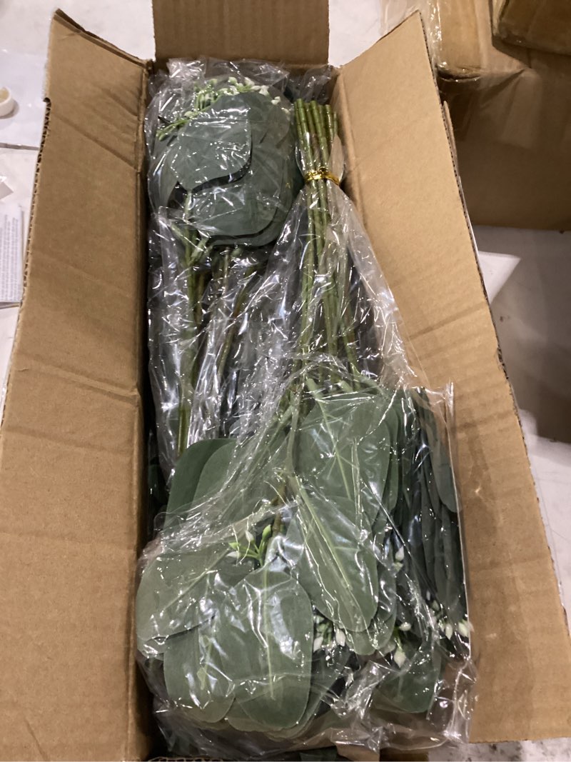 Condition photo showing New/Like New for 120 pcs 4 kinds mixed artificial eucalyptus leaves stems bulk fake silver dollar eucalyptus bundle faux plants greenery for diy bouquets floral arrangement wedding engagement party decor (green)