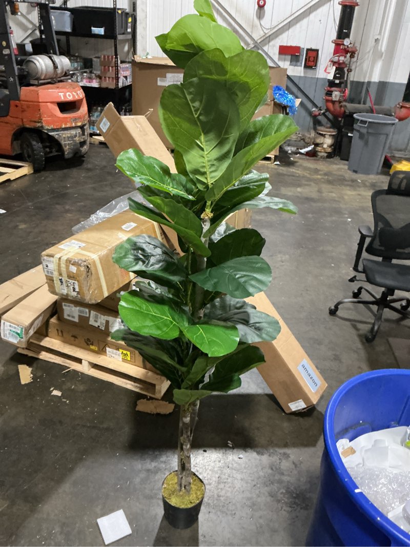 Condition photo showing Good Condition for artificial ficus lyrata – lifelike fiddle leaf fig tree