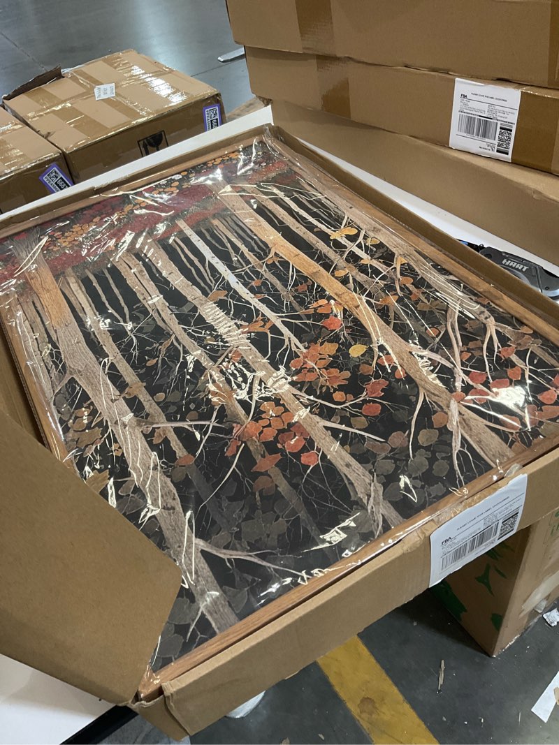 Condition photo showing Good Condition for 3 art work 