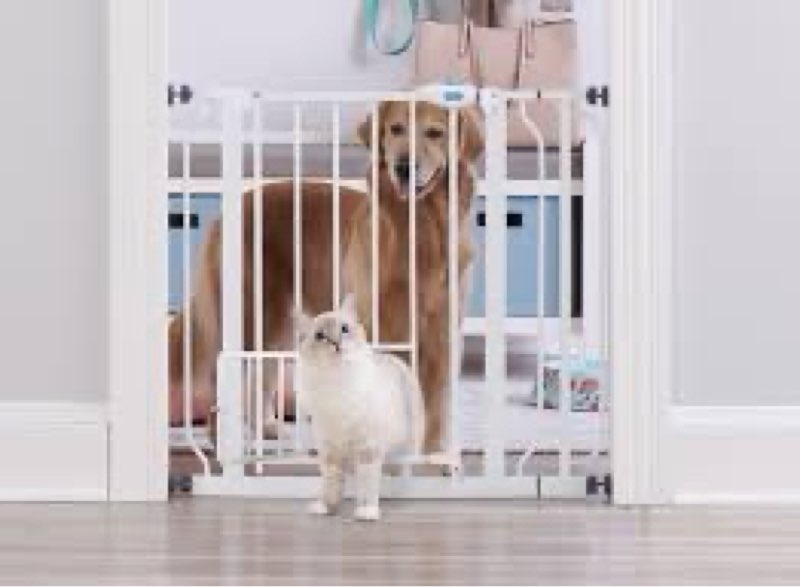 Assarted indoor gate baby and pet 