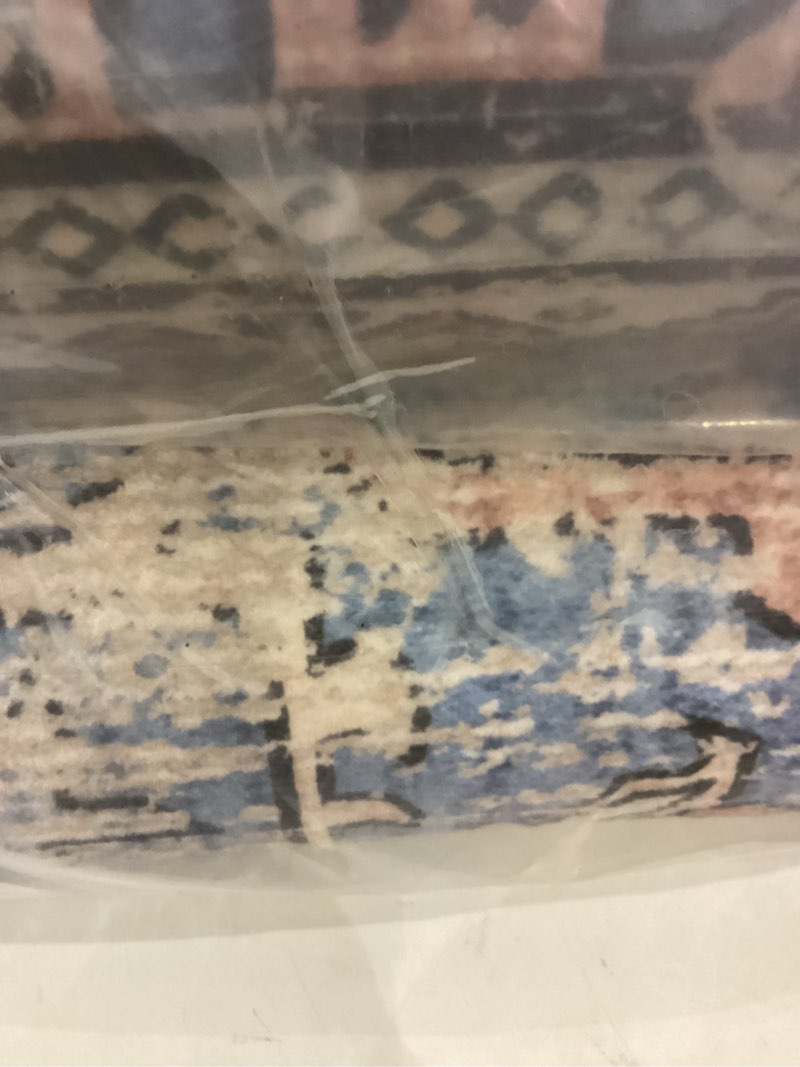 Condition photo showing New/Like New for Area rug