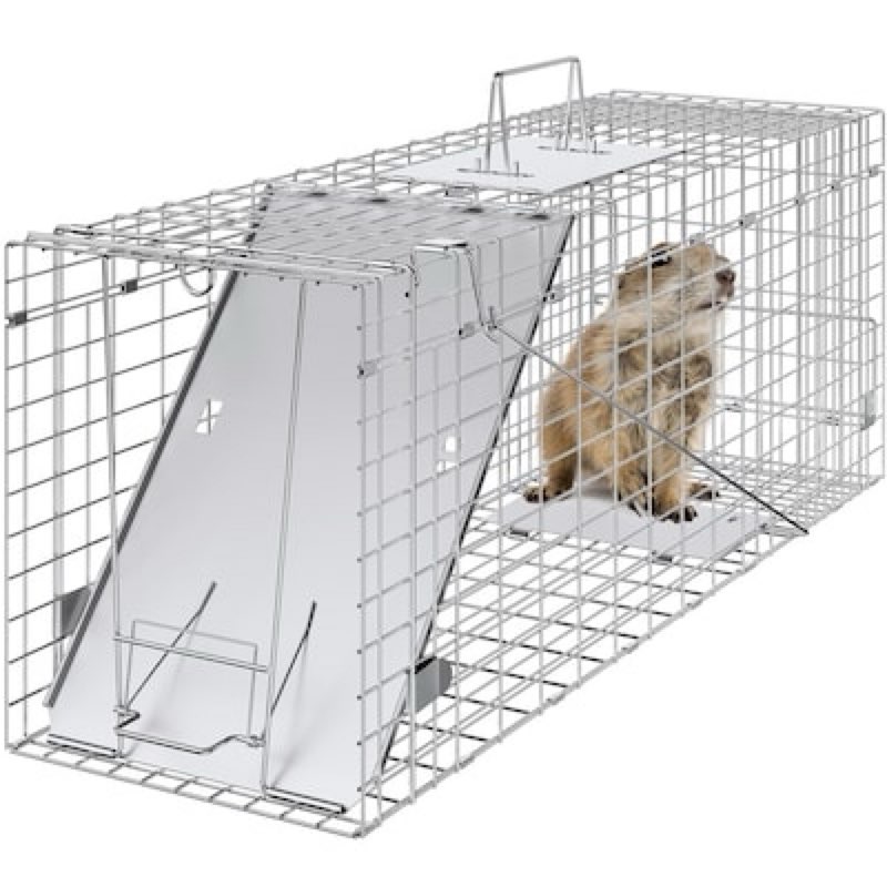 vevor live animal cage trap 31in x 10in x 12in humane cat trap galvanized iron folding animal