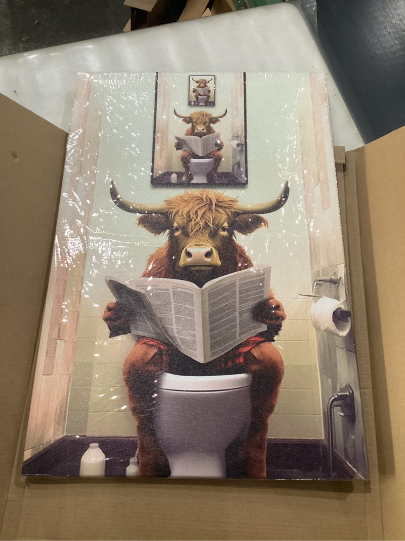 Pormipone Highland Cow Bathroom Decor Funny Bathroom Wall Art Highland Cow Wall Art Cow Pictures Wal