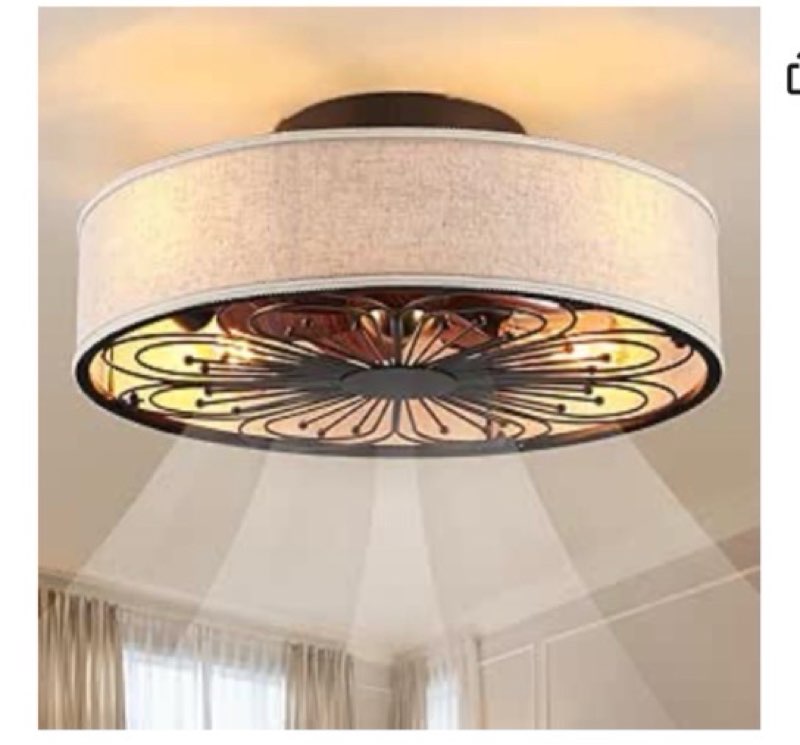 Caged Ceiling Fans with Lights Flush Mount, Low Profile Ceiling Fan with Remote Control, 20 Inch White Farmhouse Ceiling Fan for Bedroom, 6 Speeds Reversible Quiet Fandalier (Includes 4 Bulbs)