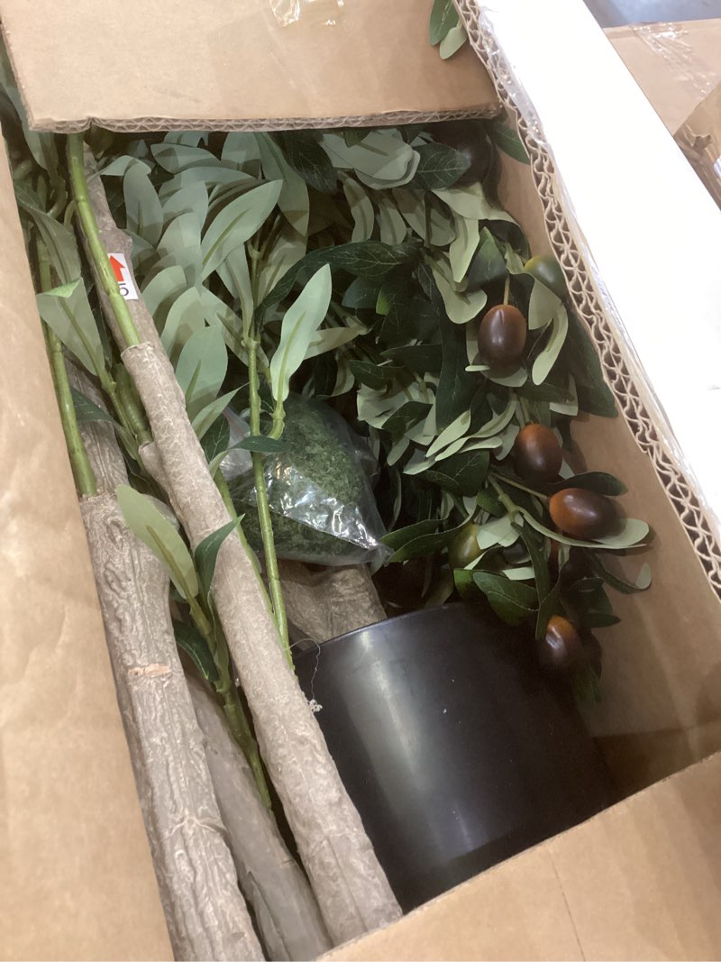 Condition photo showing Good Condition for Olive Trees Artificial Indoor, 6FT Tall Faux Olive Tree with Moss and Planter, Artificial Plants Indoor with Natural Wood Trunk and Lifelike Fruits, Fake Tree for Home Office Living Room Decor