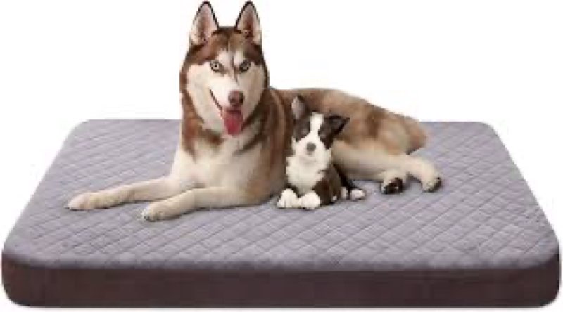 JoicyCo Large Dog Bed, Orthopedic Foam Big Dog Bed Mattress, 40 inch Joint Relief Pet Sleeping Beds,