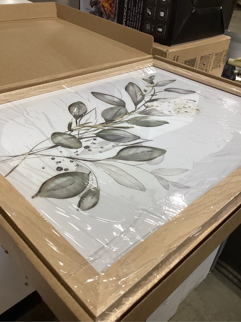 Condition photo showing New/Like New for Framed Nature Botanical Wall Art Set of 2, White Floral with Green Eucalyptus Leaves Canvas Prints, Modern Minimalist Flower Painting Picture For Kitchen, Bedroom, Dining Room,Bathroom Decor, 8x10IN White Floral Framed 10"L x 8"W