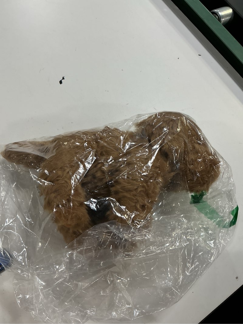 Condition photo showing Good Condition for jianeexsq labradoodle stuffed animal, fluffy dog animal model plush toy, birthday gift decor (labradoodle) poodle