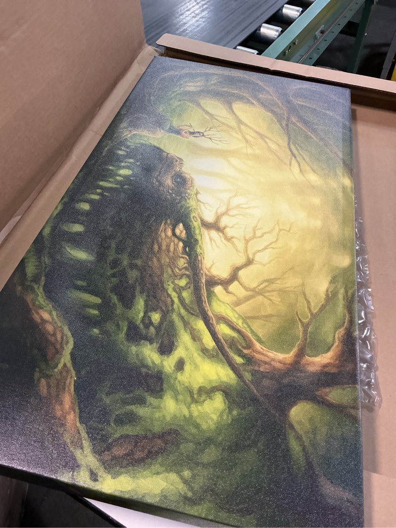 Condition photo showing As Is for wrapped canvas wall art - jojoesart 'forgotten fairytales' wall art for living room, bedroom, or office décor - 10x19 19"l x 10"w