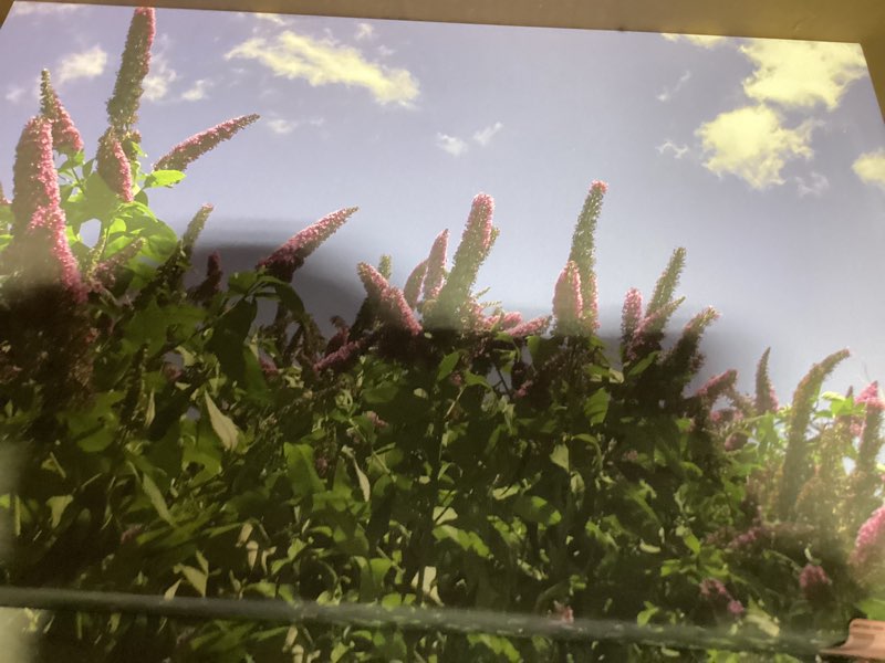 https://lotting-media.assets.bidfta.com/lotting_f1c91534-2bcc-42a0-a659-d787238e60a9