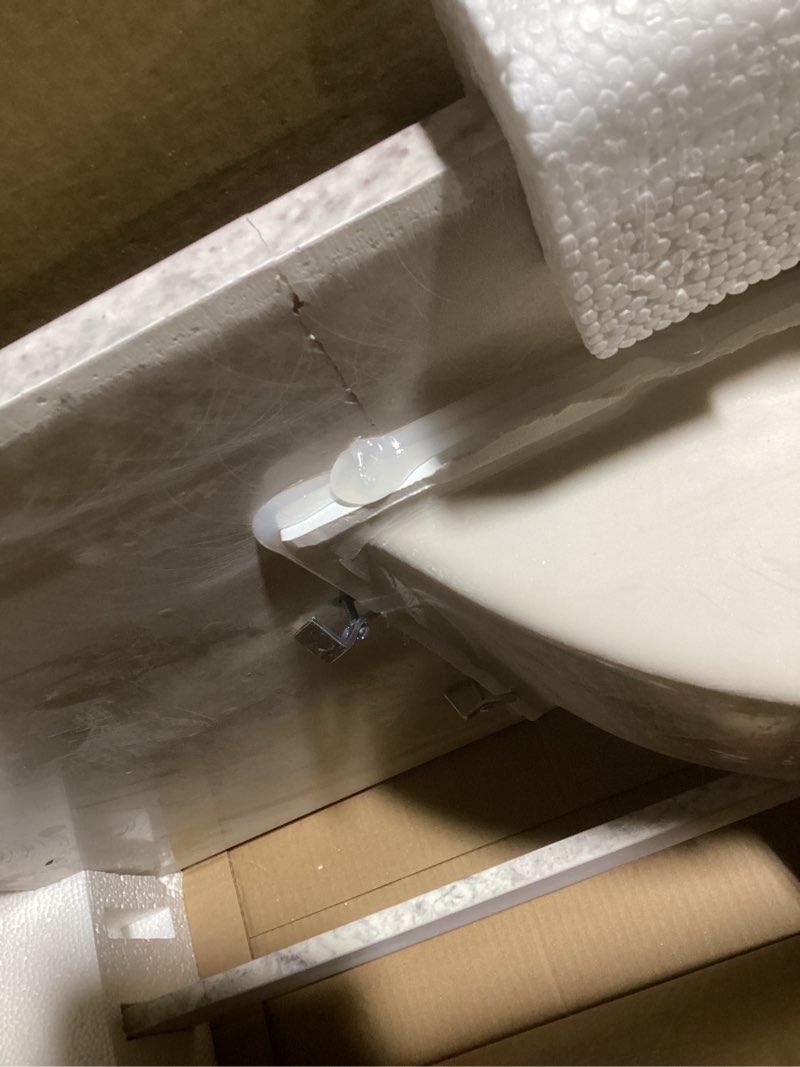 Style Selections Stone Effects 49-in x 22-in Solstice Cultured Marble Undermount Single Sink