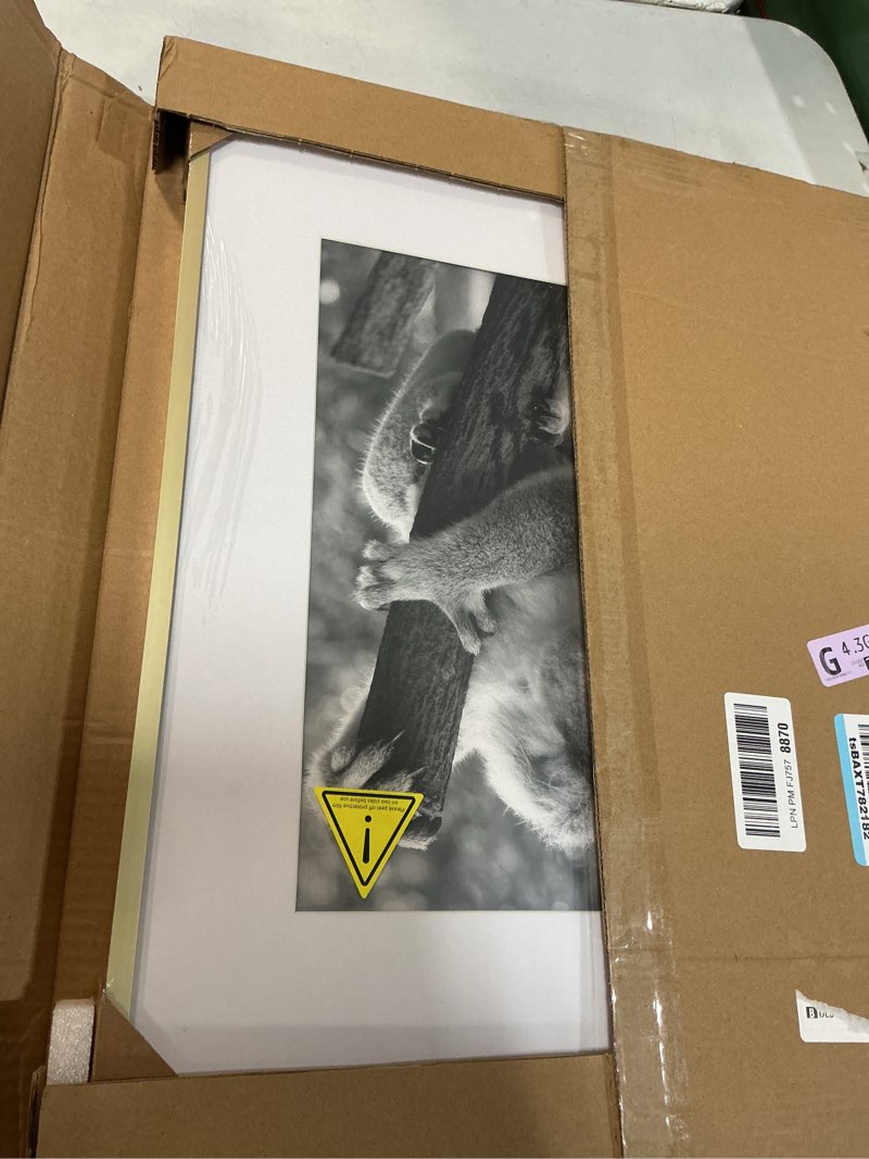Condition photo showing Good Condition for 16x20 Metal Frames Set of 2, 16 x 20 Aluminum Photo Frames with 11x14 Mat - Sawtooth Hangers, Spring Clips for Wall Mounting Horizontal and Vertical(Gold) Metal Gold 16x20 in