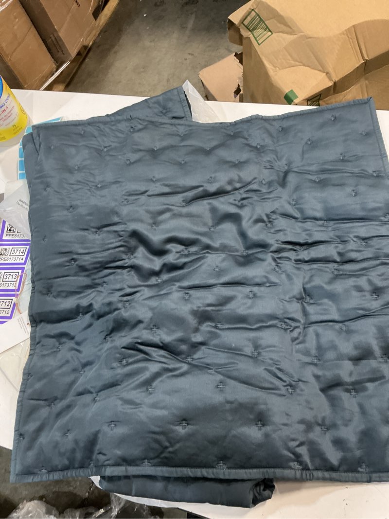 Condition photo showing Good Condition for quince bamboo dream quilted euro sham size euro color nightfall (1pcs)