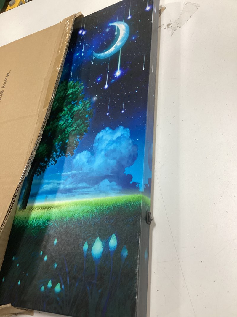 Condition photo showing Good Condition for Lighted Canvas Wall Art with Heartwarming Message, Relaxing Zen Decor with Timer - Battery Operated, Anxiety Relief Gift for Bedroom or Home (Worry Tree)