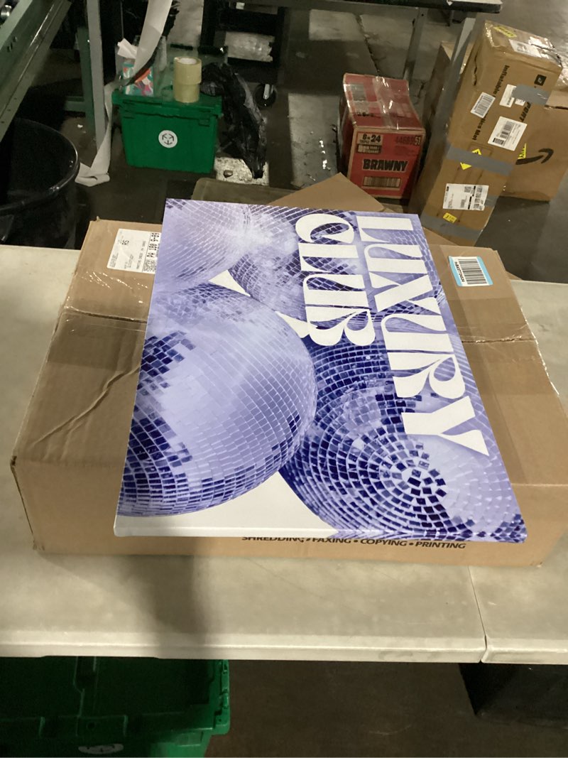 Condition photo showing Good Condition for similar to disco ball wall art pink disco poster funky canvas wall art preppy aesthetic room pictures trendy funky posters girly posters bedroom vintage disco print 70s pictures wall decor 16x24in unframed 16x24tgdscb 16l\" x 24w\"