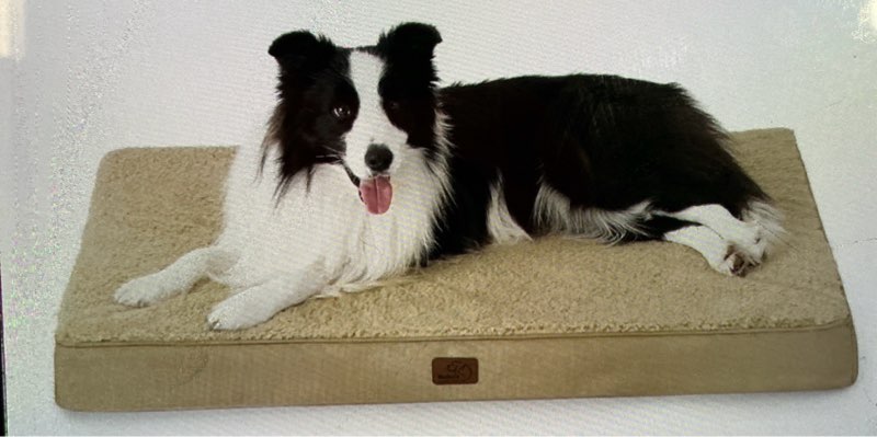 Bedsure - Large Orthopedic Bed for Large Dogs, Waterproof, with Washable Removable Cover, Foam Mat in the Shape of an egg cup for Pet Cage
