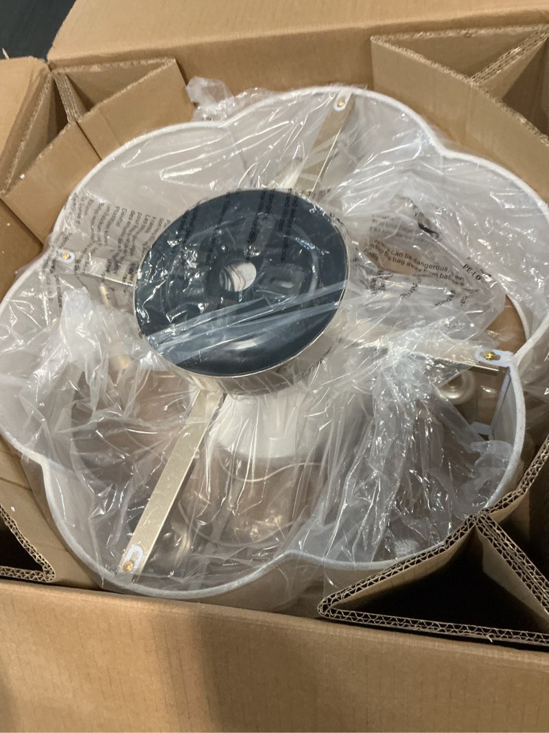 Condition photo showing Good Condition for 20" boho ceiling fan with lights flush mount, gold enclosed ceiling fans with lights remote control, caged with 6 speeds for bedroom, living room, nursery