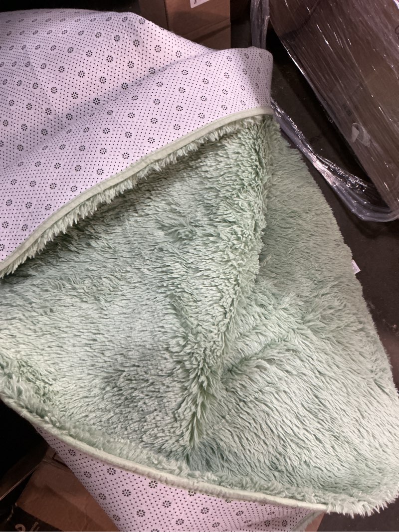 Condition photo showing Good Condition for Nuttumico Fluffy Fuzzy Sage-Green Rugs for Bedroom, 5x8 Feet Soft Non Slip Plush Area Rug for Living Room, Kids Room, Indoor Modern Shaggy Rug for Nursery, Dorm, Home Decor 5' x 8' (Rectangular) Sage Green