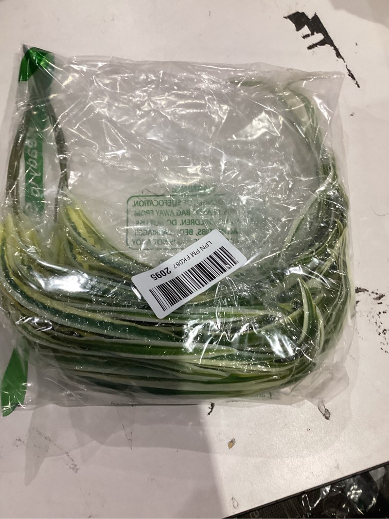 Condition photo showing As Is for 2 Packs Artificial Spider Plant Large 23.6In Fake Greenery Plants UV Resistant Outside Faux Plants Bushes for Indoor Table Outdoor Planter Decor (2)