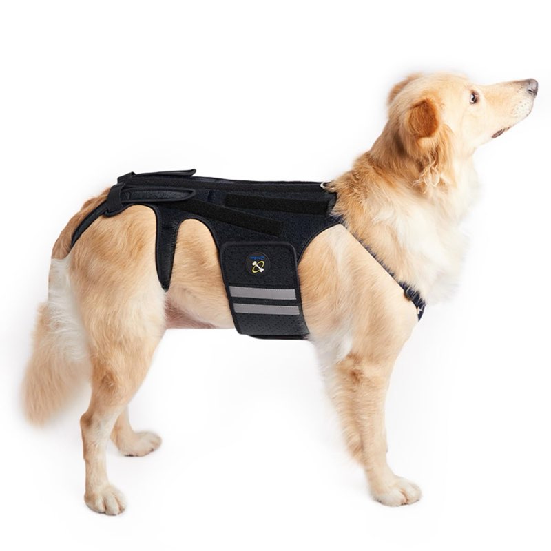 Coodeo Dog Back Brace for Dogs Arthritis, Pet Back Bracer for IVDD, Back Protector Helps Pain Relief