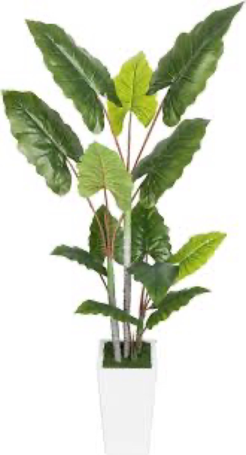 Artificial Plant Indoor 5.5FT - Fake Tree with White Tall Planter - Faux Silk Plants Tall Fake Floor