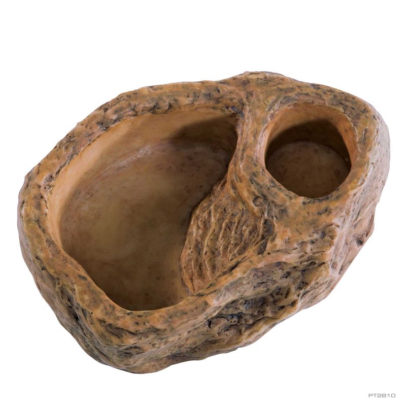 (Bidding on 25)Gecko Dish