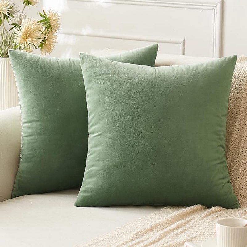 anroduo pack of 2 velvet sage green throw pillow covers 18x18 inch decorative pillow covers euro cushion case soft solid square cozy modern home decorations pillowcase for sofa couch bed spring decor
