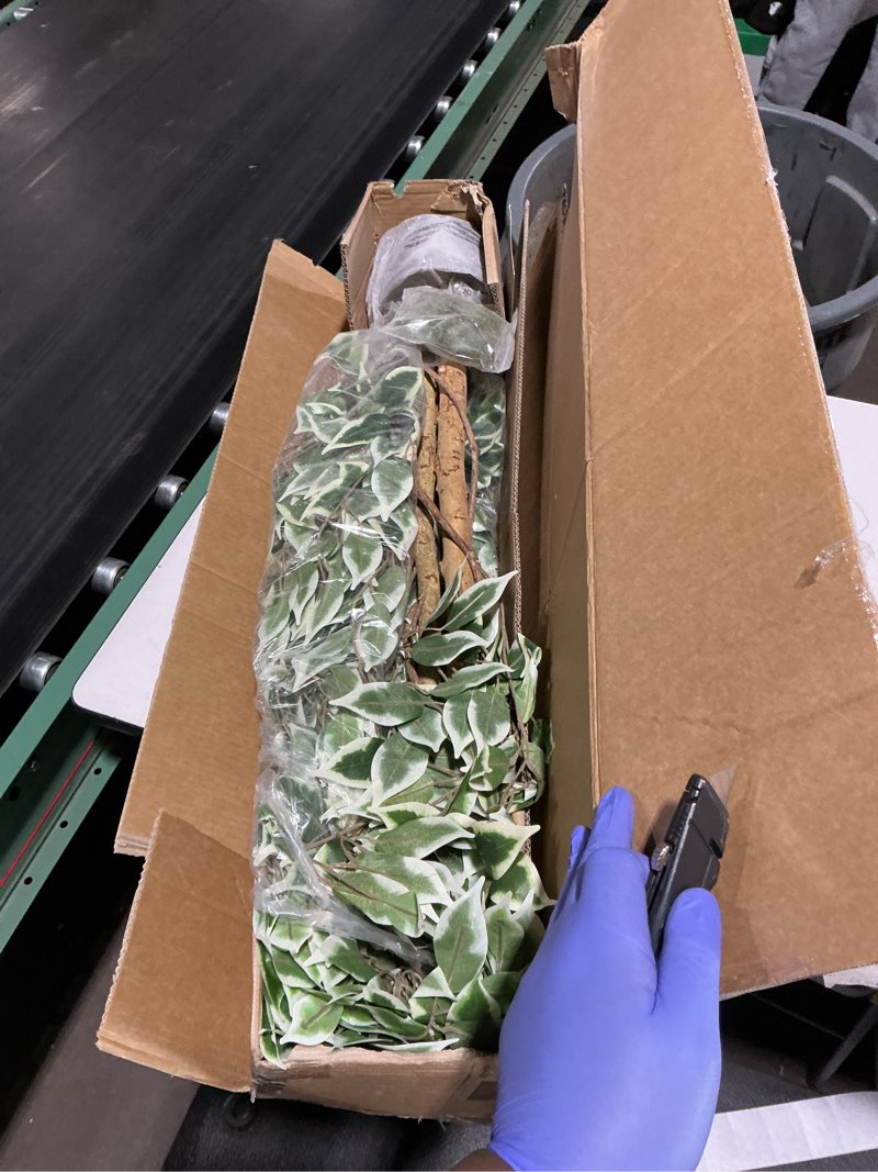 Condition photo showing New/Like New for 6.2ft ficus artificial trees with 3 natural curved trunks, 74" tall lush faux tree for home decor indoor, green lifelike fake ficus tree 1pcs 1 6ft 2in