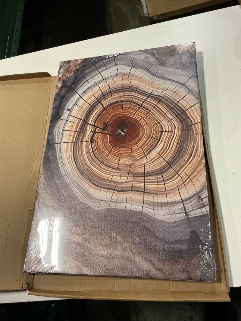 Condition photo showing Good Condition for tree ring wall art framed, modern nature decor, easy to hang 16x24 inch | the art of nature's timeline,affordable & high quality,perfect for your living room, bedroom, bathroom & office amber tree ring 16"x24" standard